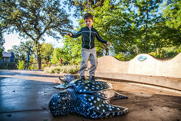 Zoo 2017-79
