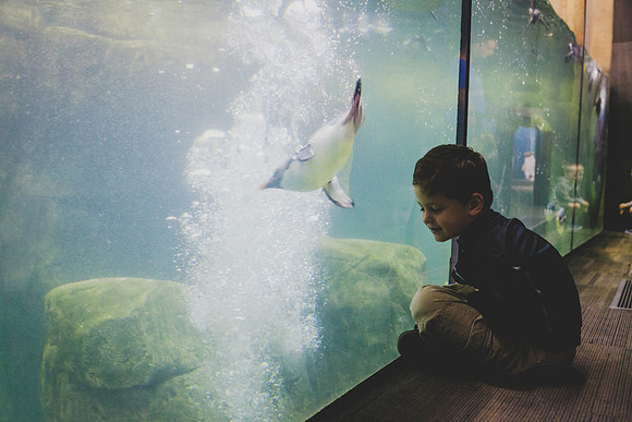 Zoo 2017-90