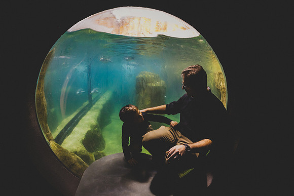 Zoo 2017-93
