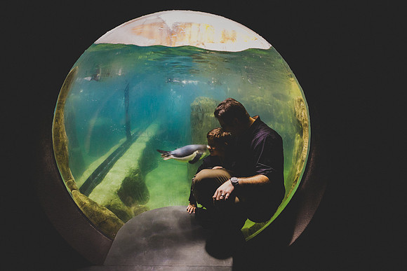 Zoo 2017-94