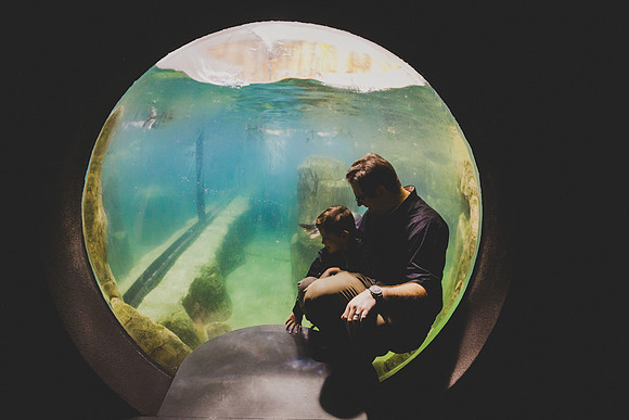 Zoo 2017-95