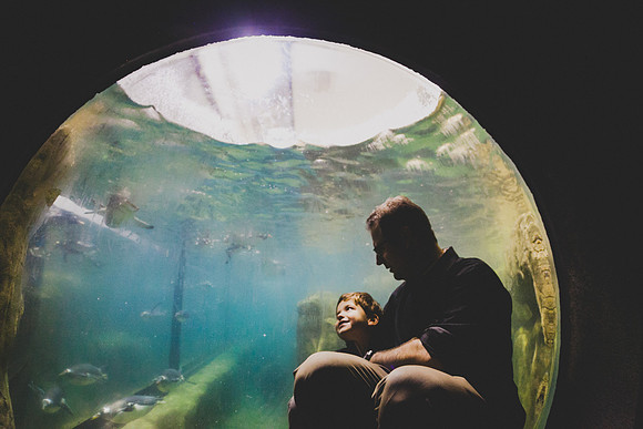 Zoo 2017-96