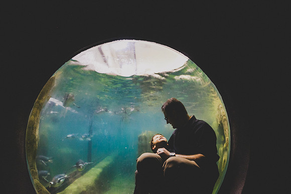 Zoo 2017-97