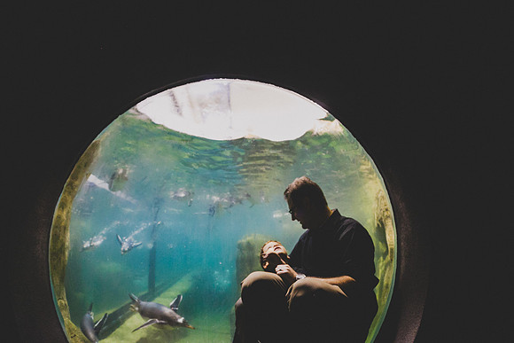 Zoo 2017-98