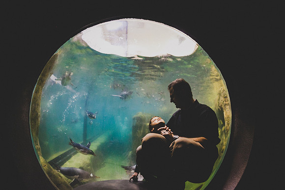 Zoo 2017-99
