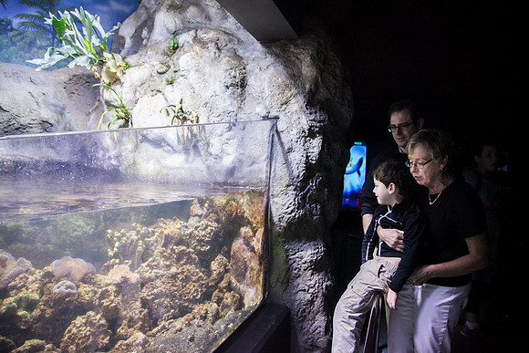 Zoo 2017-102