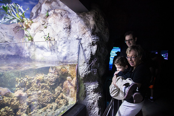 Zoo 2017-101