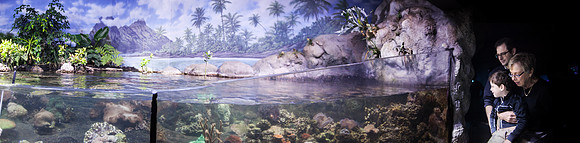 Zoo 2017-104