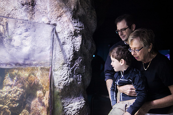 Zoo 2017-105