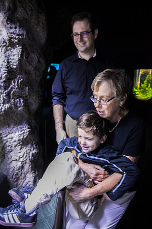 Zoo 2017-106