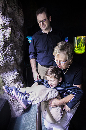 Zoo 2017-107