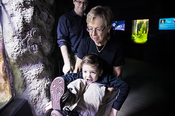 Zoo 2017-108