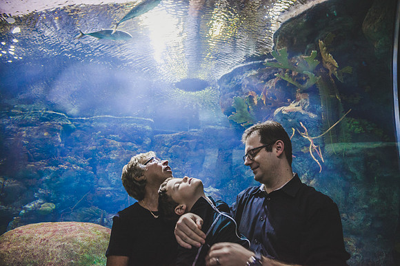 Zoo 2017-111
