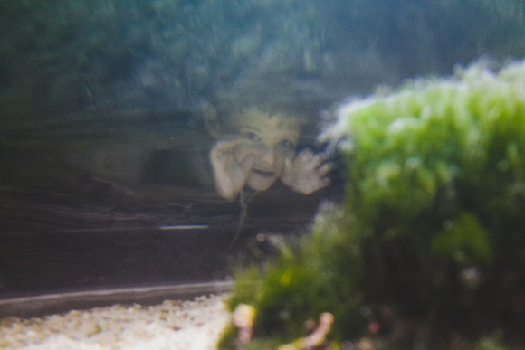 Zoo 2017-113
