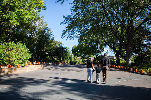 Zoo 2017-132