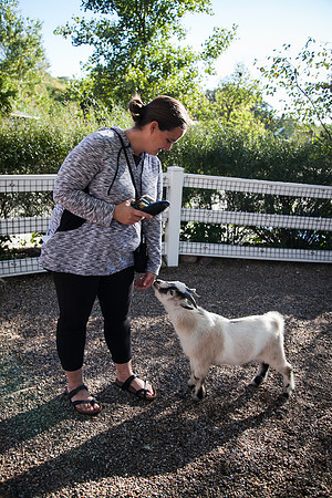 Zoo 2017-140