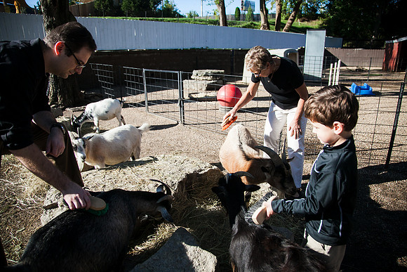 Zoo 2017-141