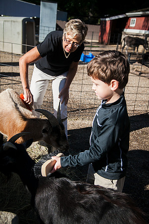 Zoo 2017-142