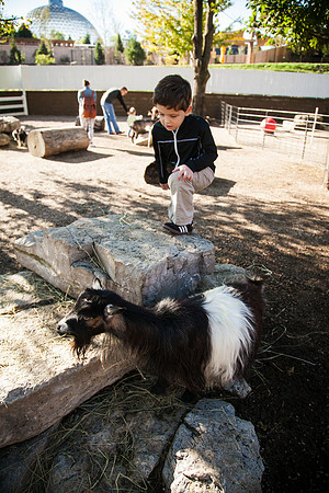 Zoo 2017-145