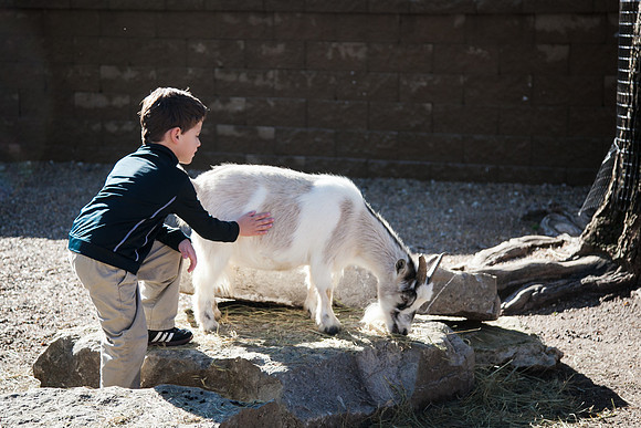 Zoo 2017-149