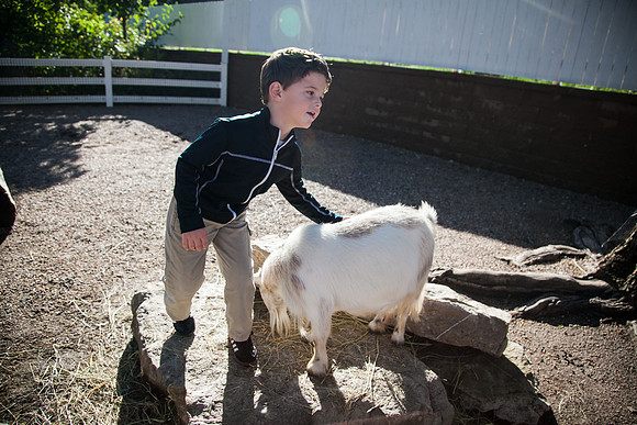 Zoo 2017-150