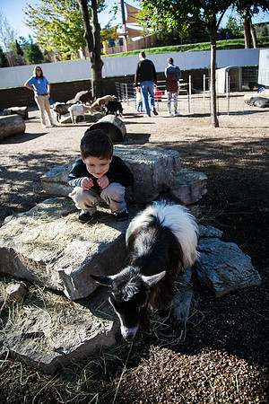 Zoo 2017-151