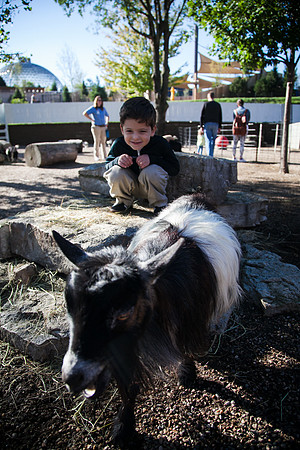 Zoo 2017-152