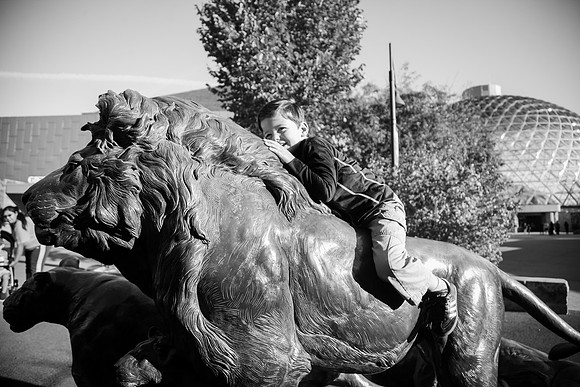 Zoo 2017-237