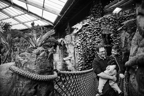 Zoo 2017-242