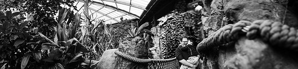 Zoo 2017-247