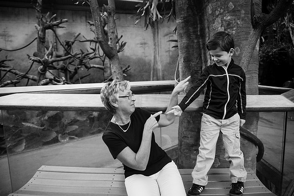Zoo 2017-253