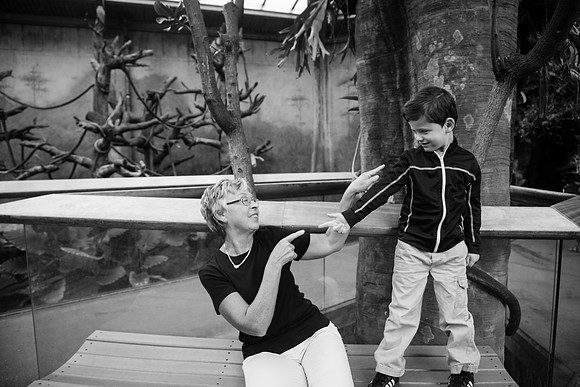 Zoo 2017-254