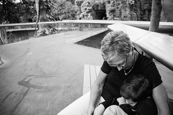 Zoo 2017-261