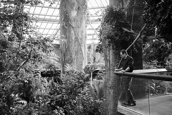 Zoo 2017-264