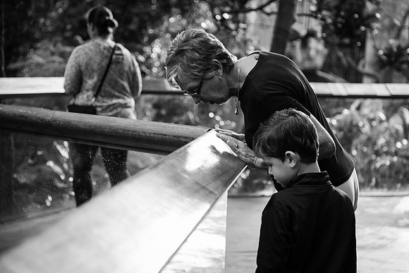 Zoo 2017-265