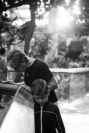 Zoo 2017-267
