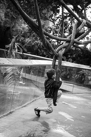 Zoo 2017-271