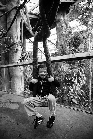 Zoo 2017-273