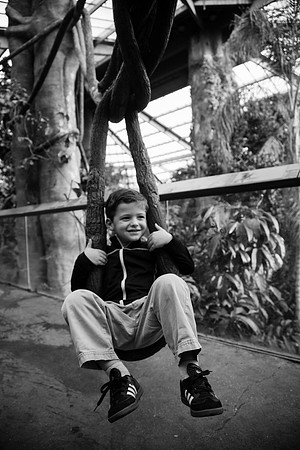Zoo 2017-274