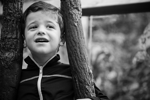 Zoo 2017-275