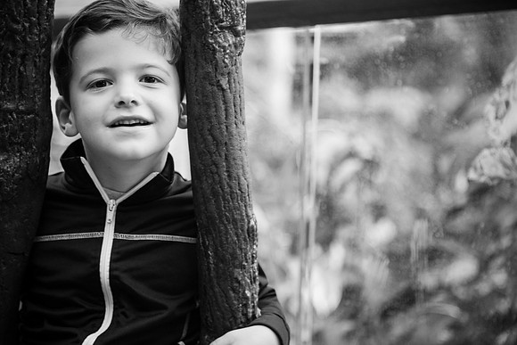 Zoo 2017-276
