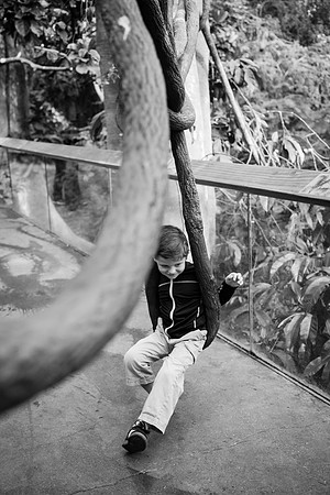 Zoo 2017-277