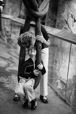 Zoo 2017-278
