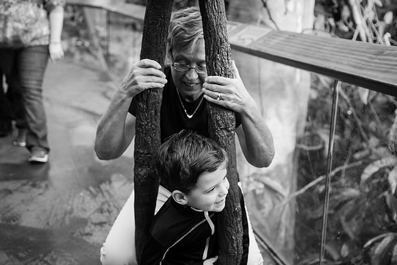 Zoo 2017-280