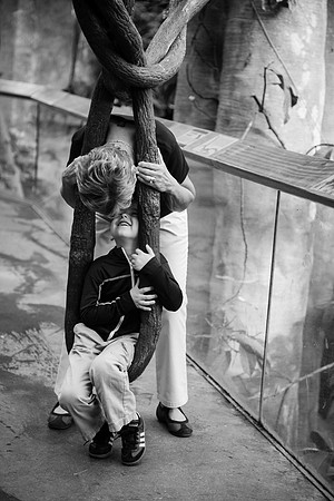 Zoo 2017-279