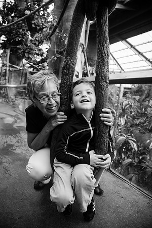 Zoo 2017-283