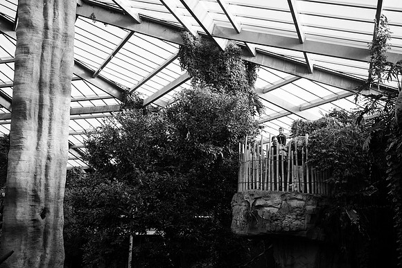Zoo 2017-285