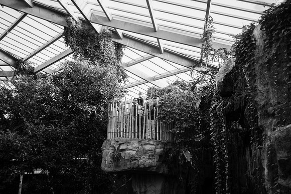 Zoo 2017-286
