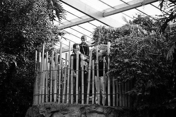Zoo 2017-288