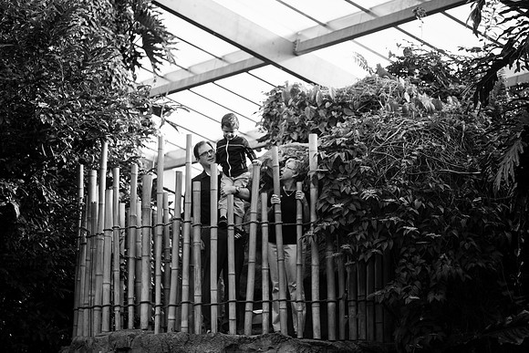 Zoo 2017-289
